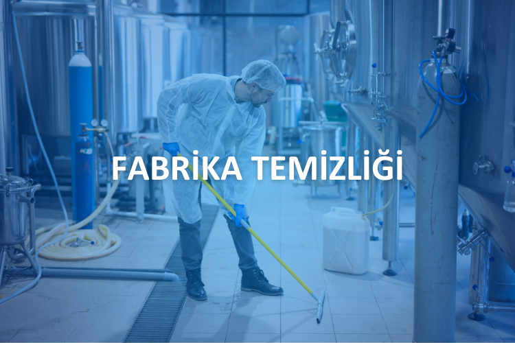 İleri Adım İnsan Kaynakları